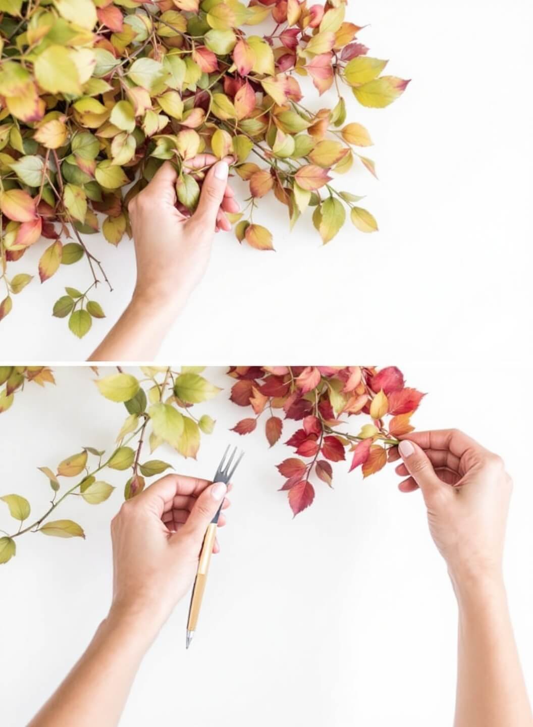 Before and after split-screen image detailing the technique of a seasonal cluster swap under bright lighting, shot from an elevated angle against a clean white background