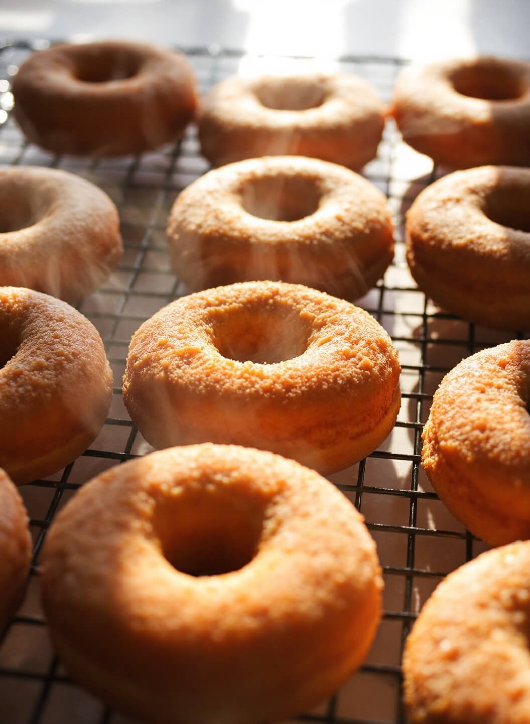 Freshly baked donuts cooling on a rack in morning sunlight